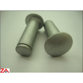 Aluminum solid rivet